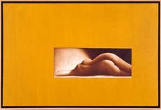 THE ELEMENTS (NUDE)